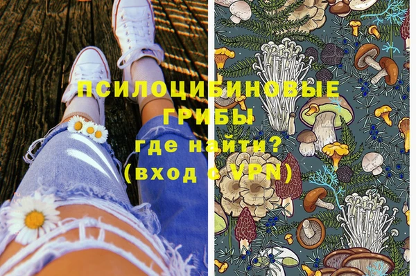индика Алексеевка