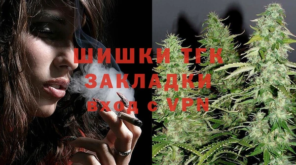 индика Алексеевка