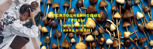 прущие крисы Алексин