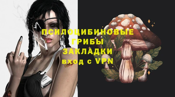 индика Алексеевка