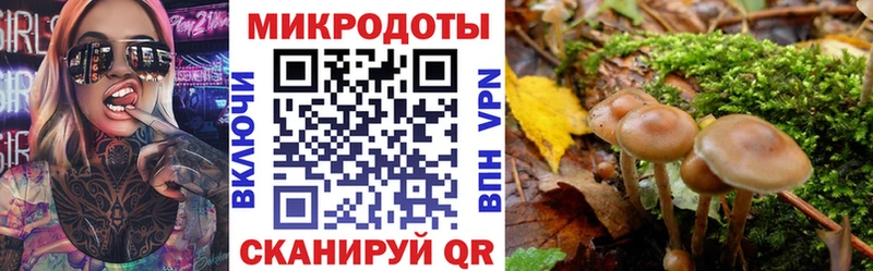 Псилоцибиновые грибы Psilocybe  Спасск 